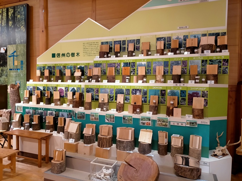 林業総合センター